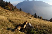 96 Seguendo la traccia nell'erba ormai secca del pascolo